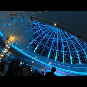 Meet your Posher, Gianna